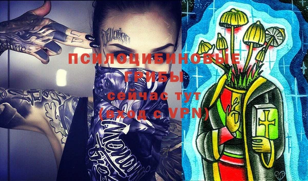 ПСИЛОЦИБИНОВЫЕ ГРИБЫ Нягань