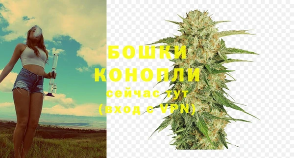 ПСИЛОЦИБИНОВЫЕ ГРИБЫ Нягань