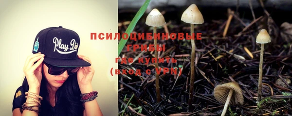 МДПВ Няндома